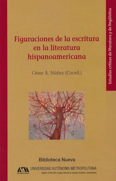 Figuraciones de la escritura en la literatura hispanoamericana