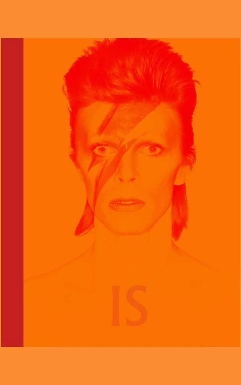 DAVID BOWIE IS INSIDE